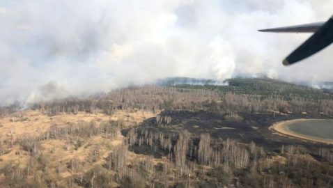 В Чернобыльской зоне горит лес, на отдельных участках повышенный радиационный фон